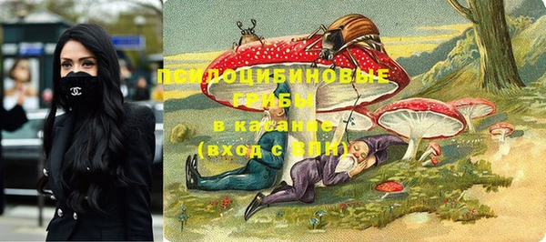 PSILOCYBIN Костерёво