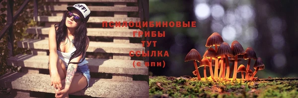 МДПВ Краснослободск
