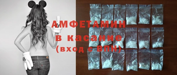МДПВ Краснослободск