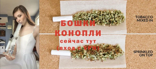 МДПВ Краснослободск