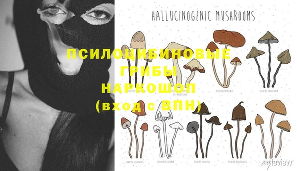 МДПВ Краснослободск