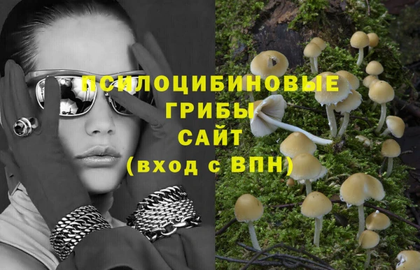 МДПВ Краснослободск