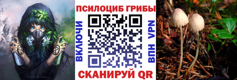 kraken сайт  даркнет сайт  Нижние Серги  Псилоцибиновые грибы GOLDEN TEACHER 